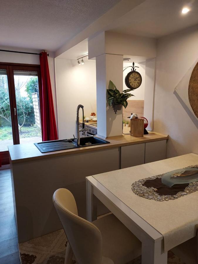 Residence Du Vieux Chateau Jardin & Parking Gratuit Mulhouse Ngoại thất bức ảnh