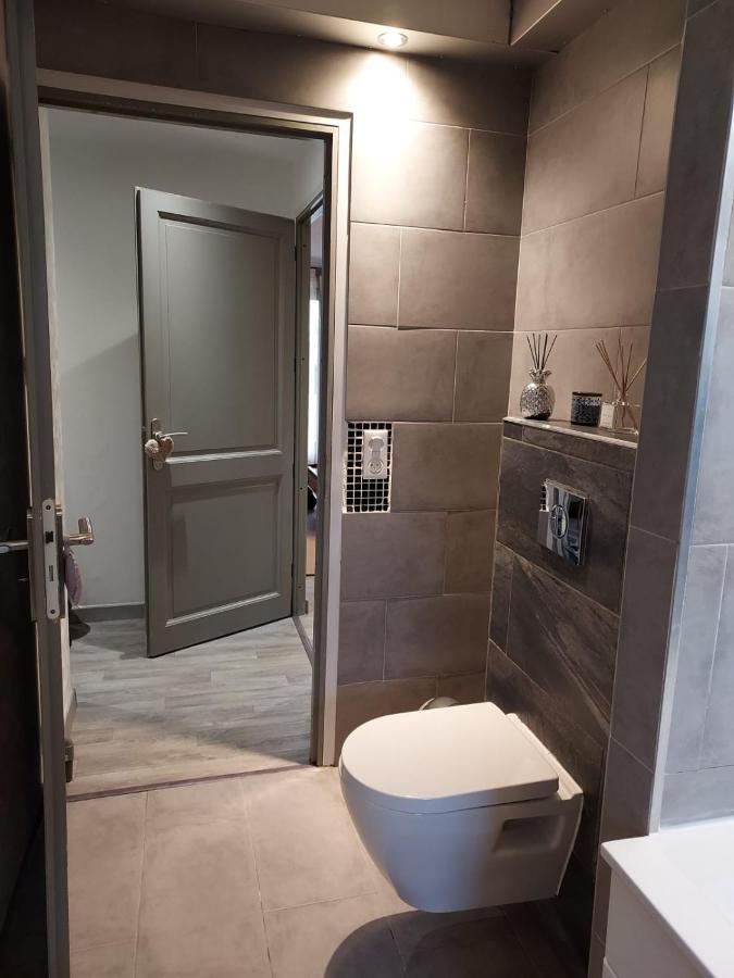 Residence Du Vieux Chateau Jardin & Parking Gratuit Mulhouse Ngoại thất bức ảnh