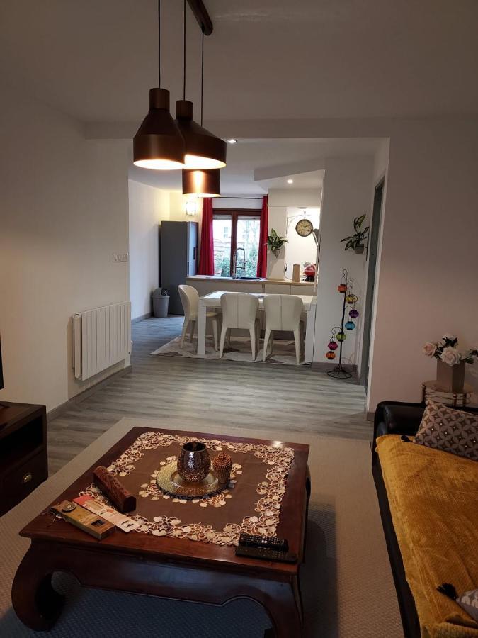 Residence Du Vieux Chateau Jardin & Parking Gratuit Mulhouse Ngoại thất bức ảnh