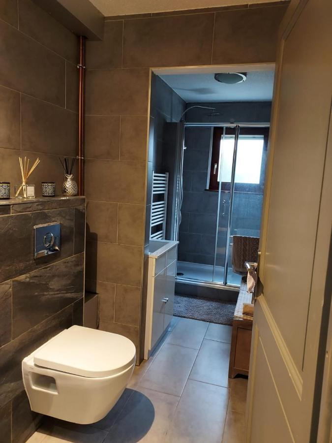 Residence Du Vieux Chateau Jardin & Parking Gratuit Mulhouse Ngoại thất bức ảnh