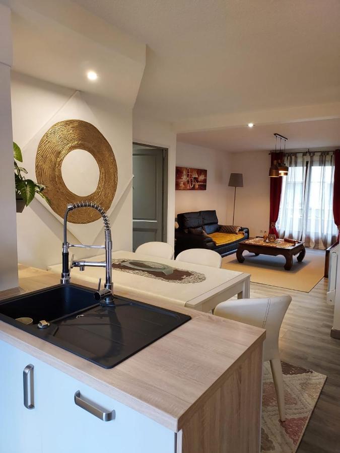 Residence Du Vieux Chateau Jardin & Parking Gratuit Mulhouse Ngoại thất bức ảnh