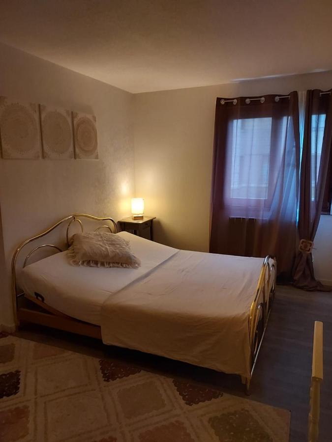 Residence Du Vieux Chateau Jardin & Parking Gratuit Mulhouse Ngoại thất bức ảnh